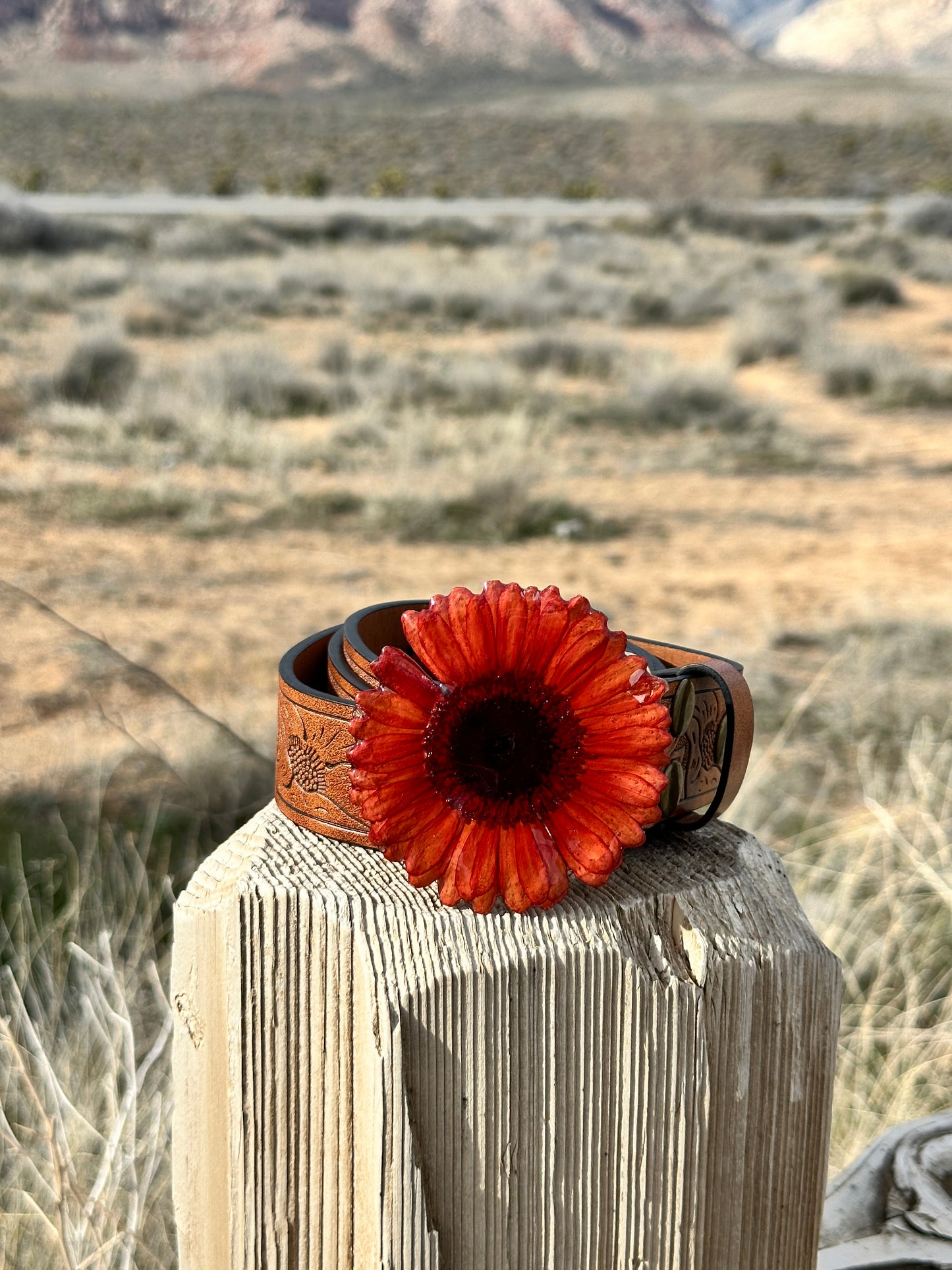Red Gerber Daisy Belt