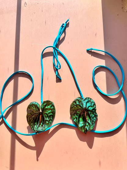 Green Anthurium Bikini