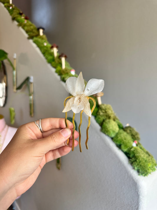White Dendrobium Orchid Hair Fork